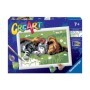 Pictura Pe Numere - Catelus Si Pisicuta Ravensburger - 2
